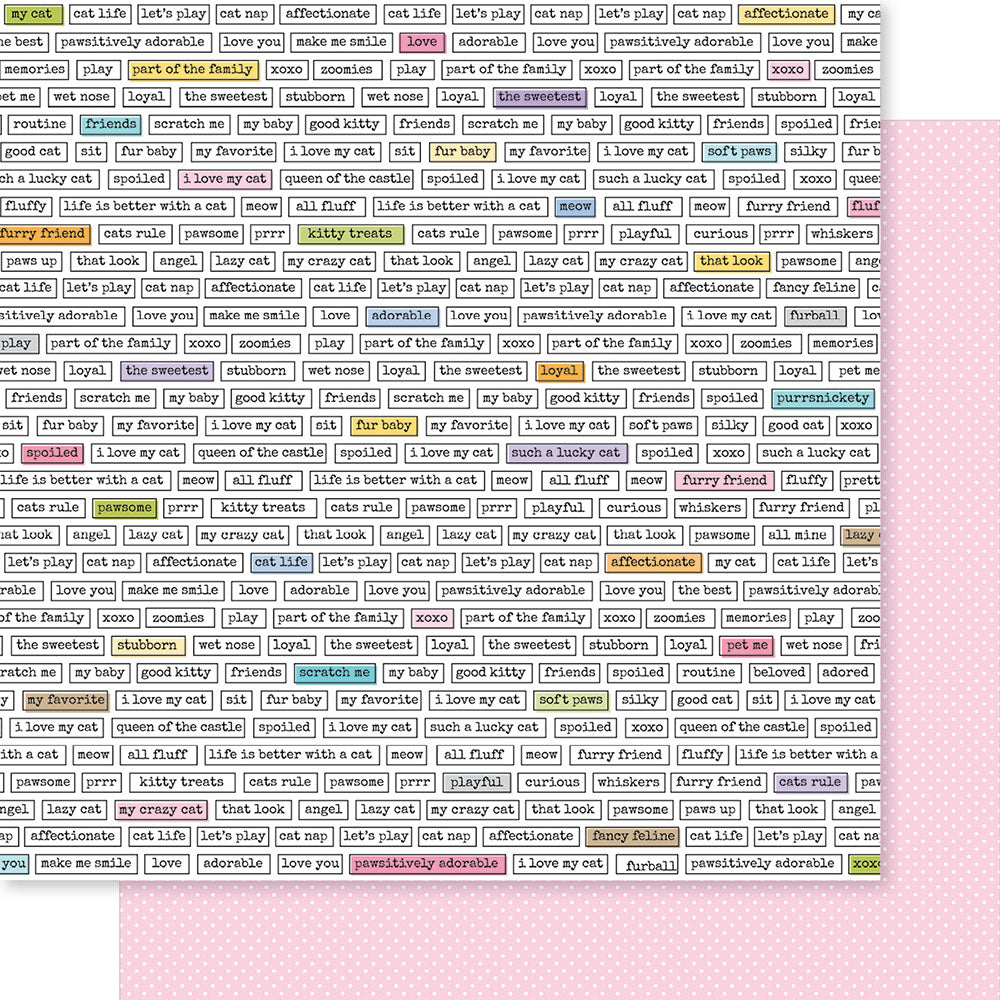 Bella Blvd - Meow Collection - 12 x 12 Double Sided Paper - Clever Cat