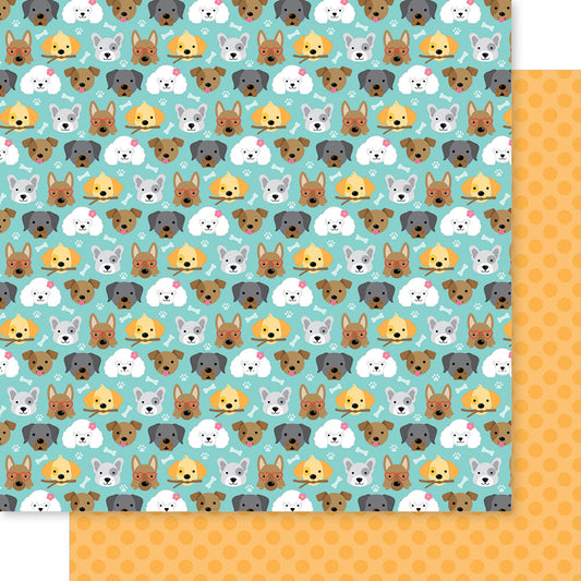Bella Blvd - Bow Wow Collection - 12 x 12 Double Sided Paper - Puppy Eyes