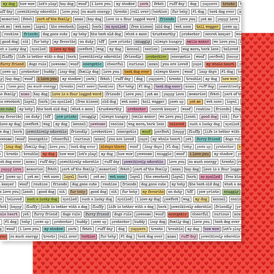 Bella Blvd - Bow Wow Collection - 12 x 12 Double Sided Paper - Top Dog