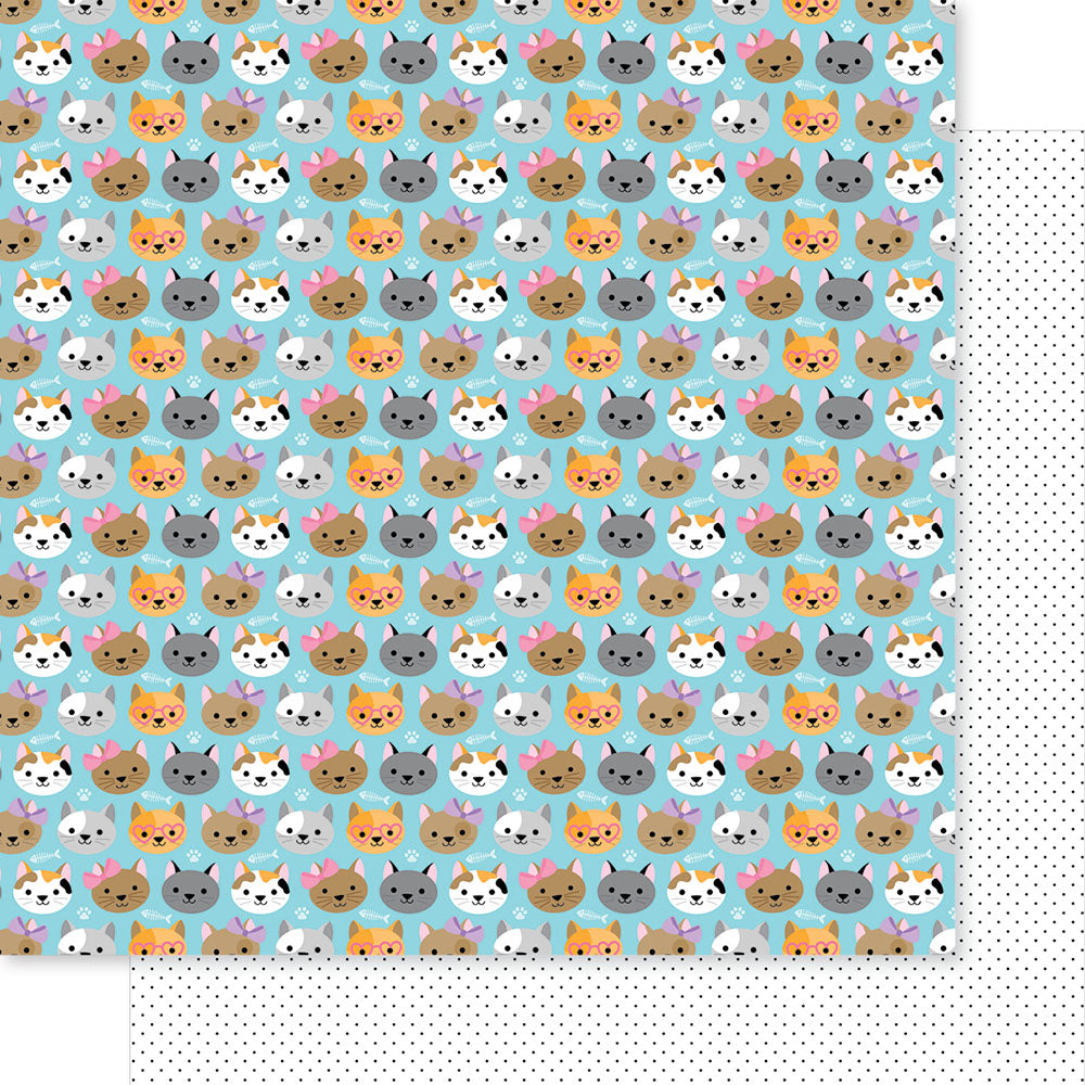 Bella Blvd - Meow Collection - 12 x 12 Double Sided Paper - That Face