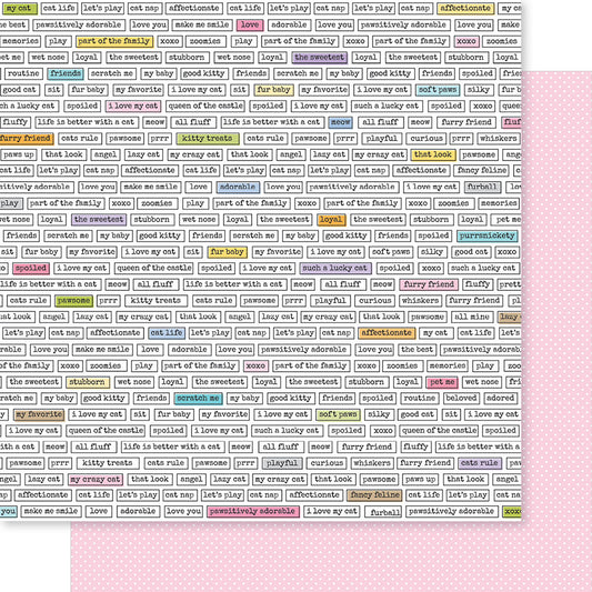 Bella Blvd - Meow Collection - 12 x 12 Double Sided Paper - Clever Cat